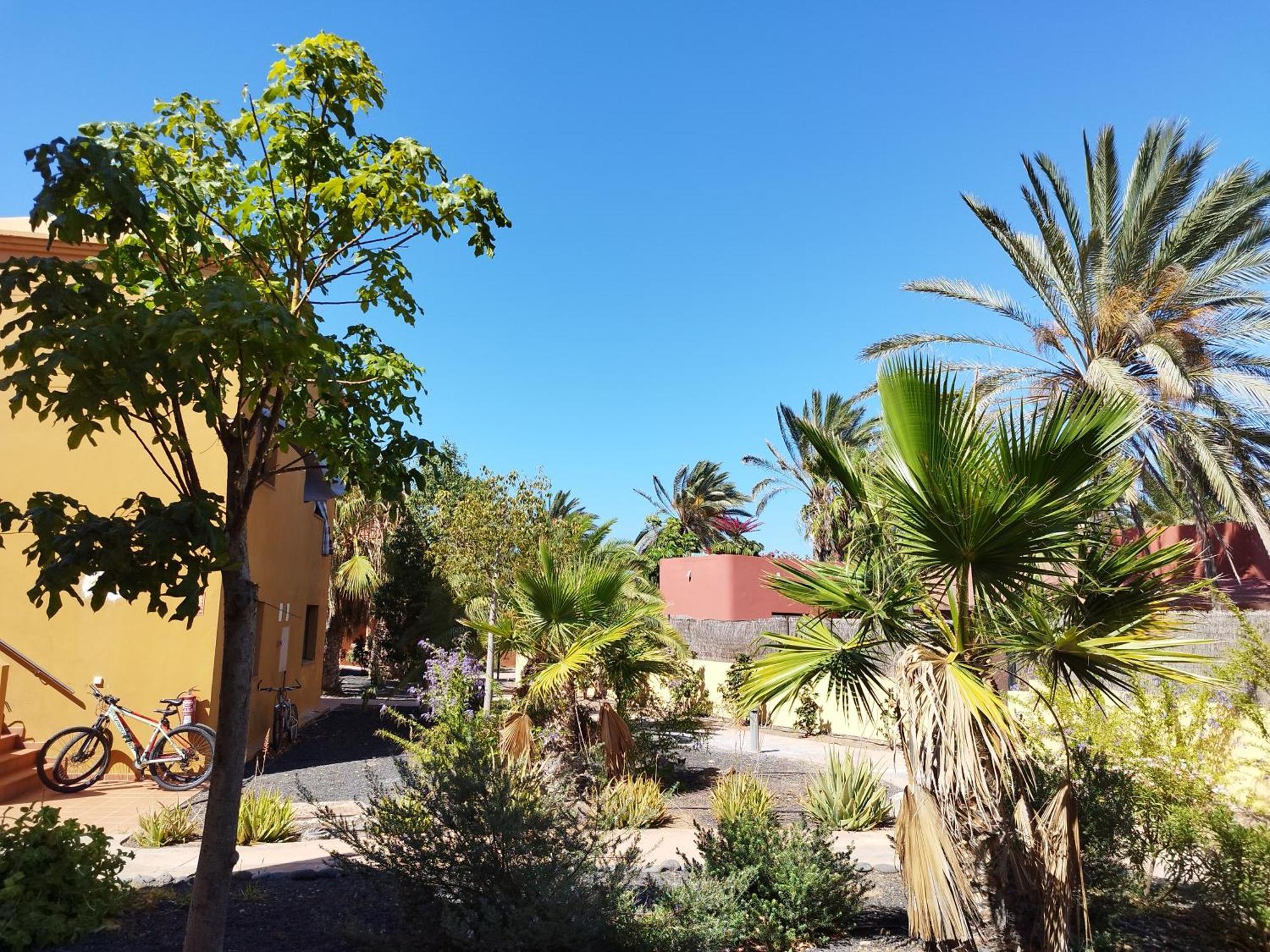 Cozy Apartment In Tamarindo 2 Corralejo Bagian luar foto
